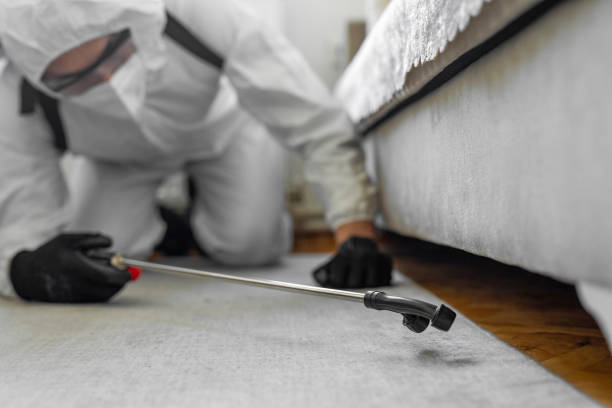 Professional Termite Control technician working in Niagara Falls, NY