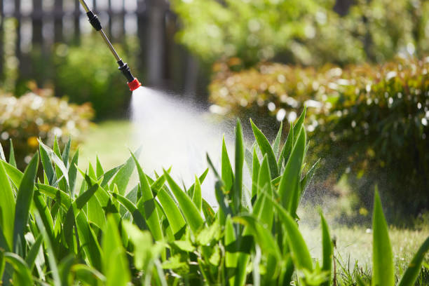 24/7 Emergency Termite Control experts in Niagara Falls, NY