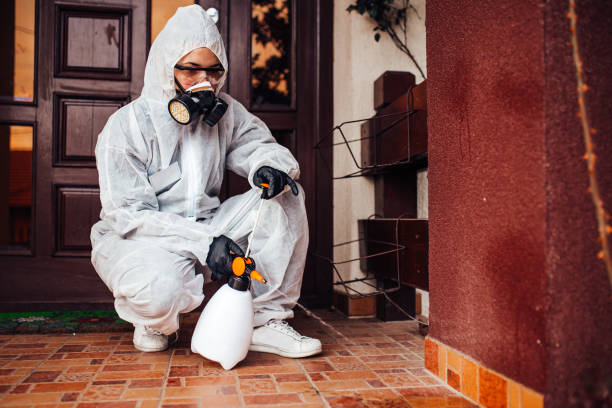 Reliable Termite Control contractor in Niagara Falls, NY by Nex Pest Control
